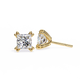 Amore Lucente Princess Cut Solitaire Studs