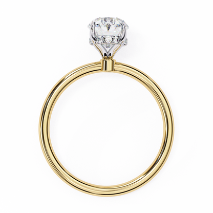 Siena Meridian Oval Solitaire Ring
