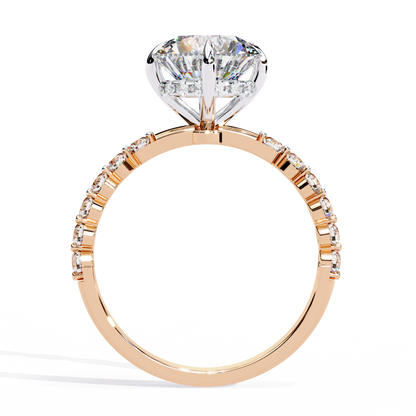 Elysian Velluto Round Solitaire Ring